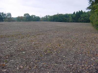 333 Rudy Road Dowagiac, MI 49047 - Photo 1 of 1 Primary Photo
