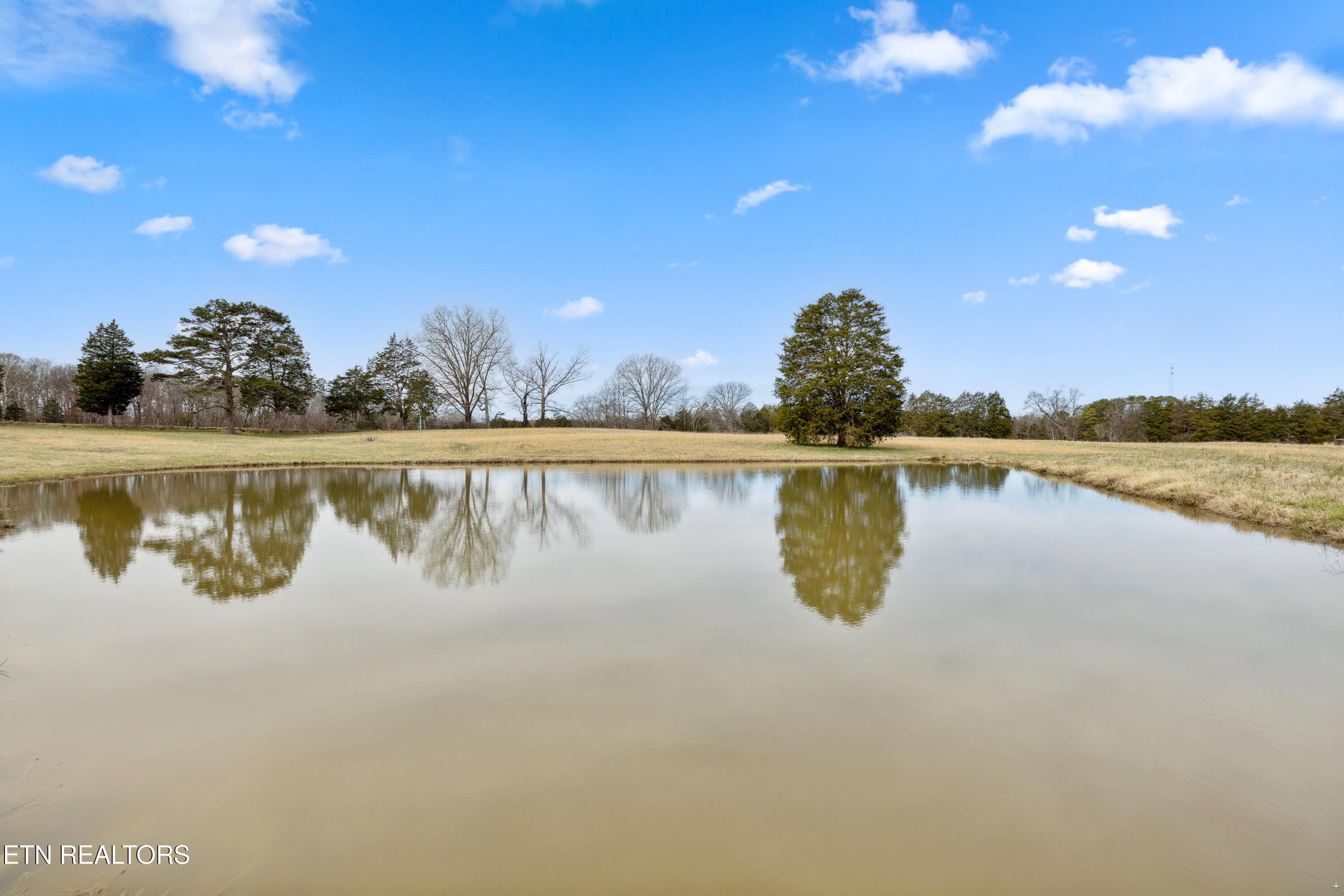 8207 Washington Pike Corryton, TN 37721 - Photo 44 of 60 Positive Perceptions-47