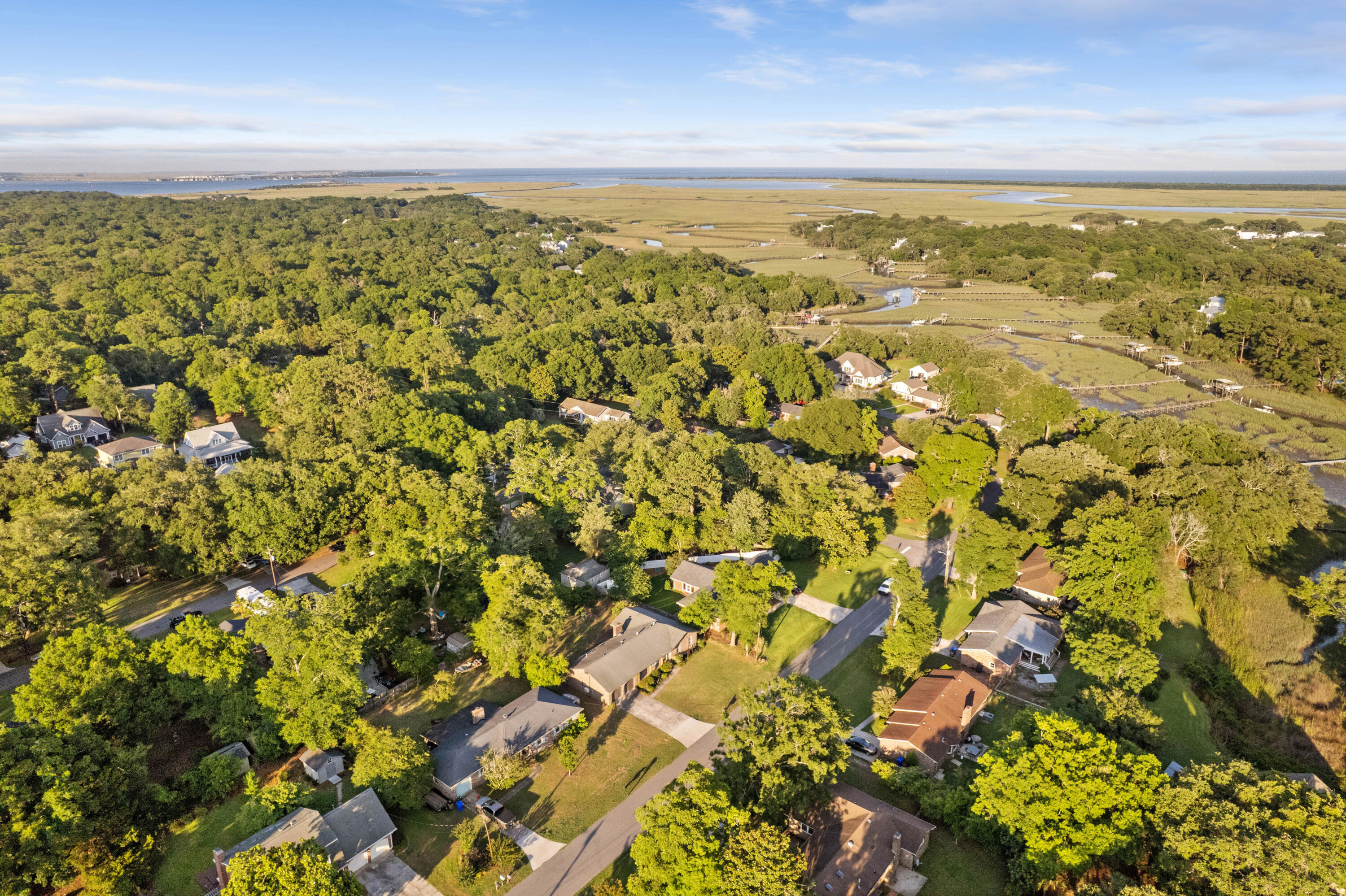 742 Leafwood Road Charleston, SC 29412 - Photo 51 of 51