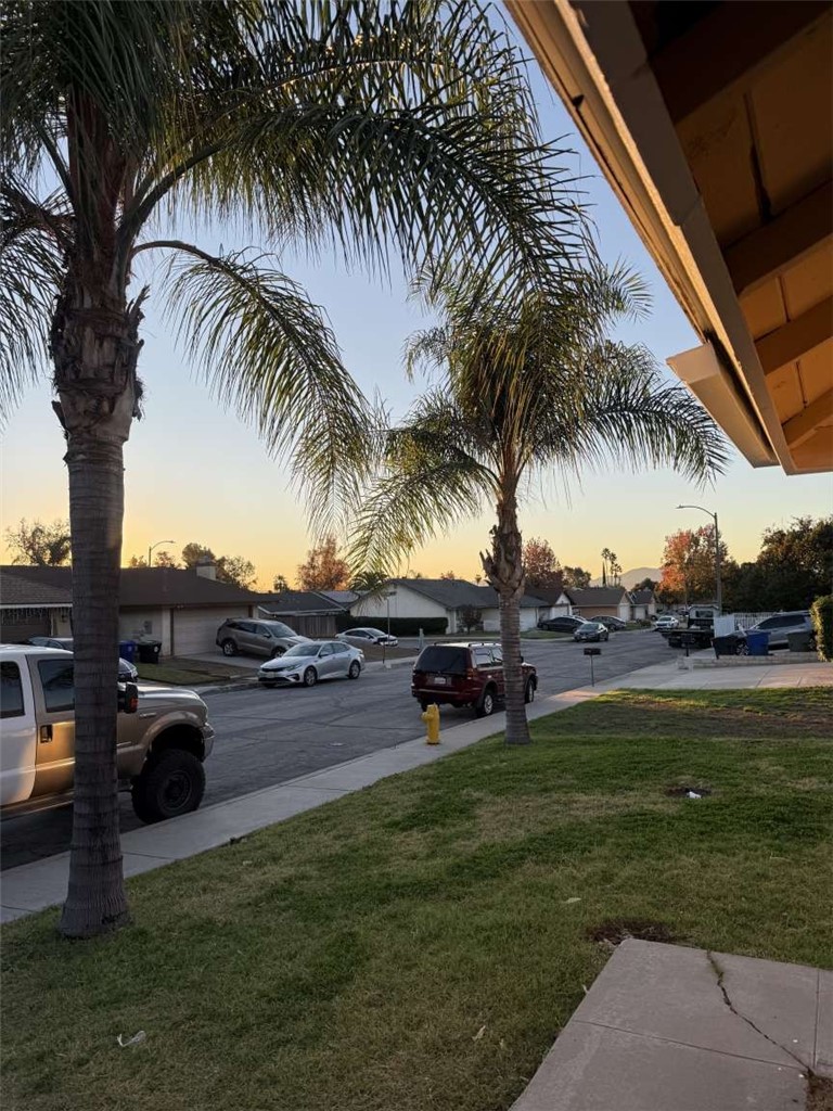 3270 Edgemont Court San Bernardino, CA 92405 - Photo 38 of 44 a row of palm trees and a yard