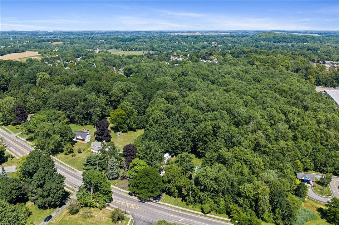 536 Moseley Road Perinton, NY 14450 - Photo 36 of 41
