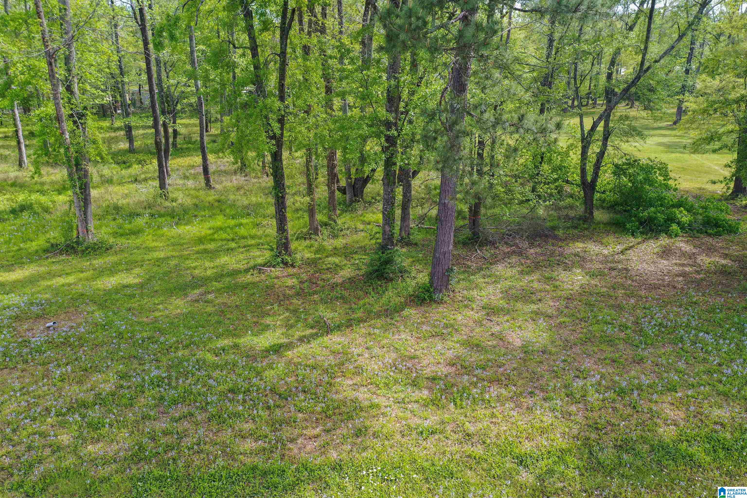 797 County Road Clanton, AL 35045 - Photo 18 of 44
