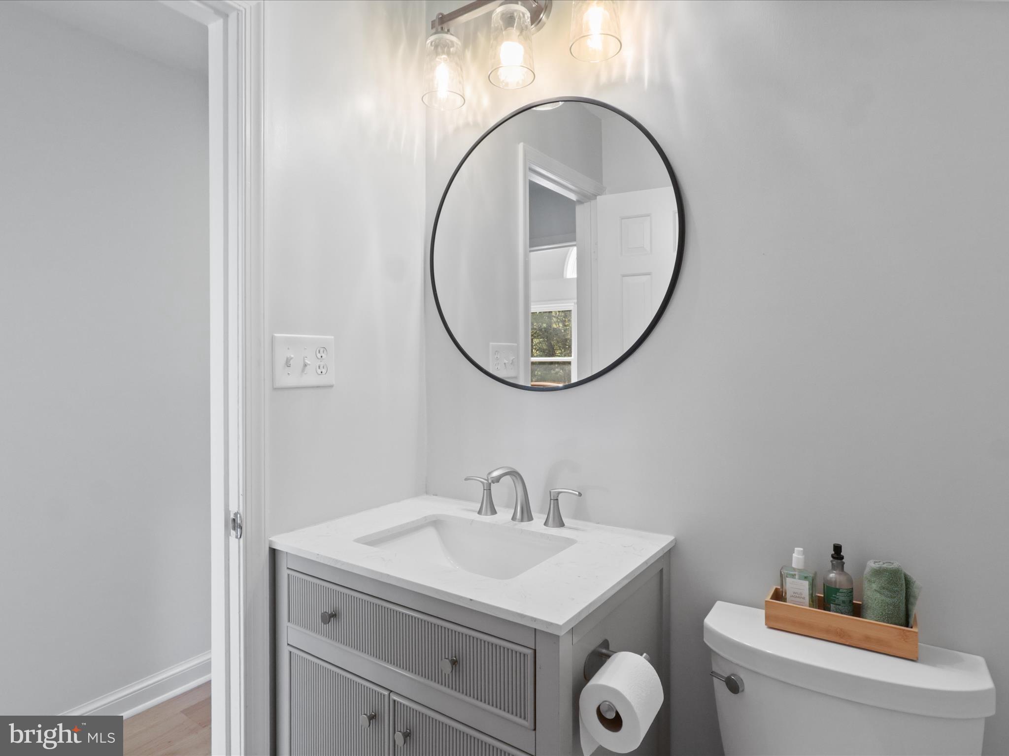 6811 White Rock Road Clifton, VA 20124 - Photo 42 of 87 a bathroom with a sink and a mirror