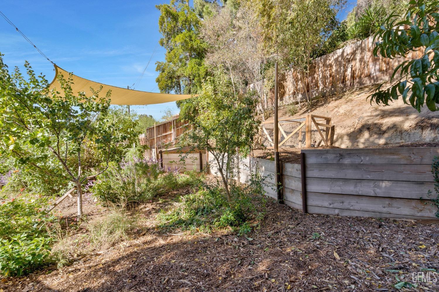 Undisclosed Address Bakersfield, CA 93306 - Photo 36 of 40 a view of a yard with plants and large trees