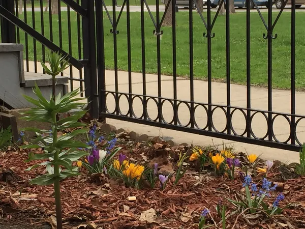 $1,900 | 2318 South Marshall Boulevard, Unit 2, Chicago, IL 60623