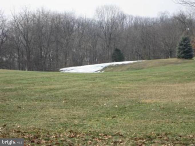 815 Warm Spring Road Chambersburg, PA 17202 - Photo 4 of 30 Back yard