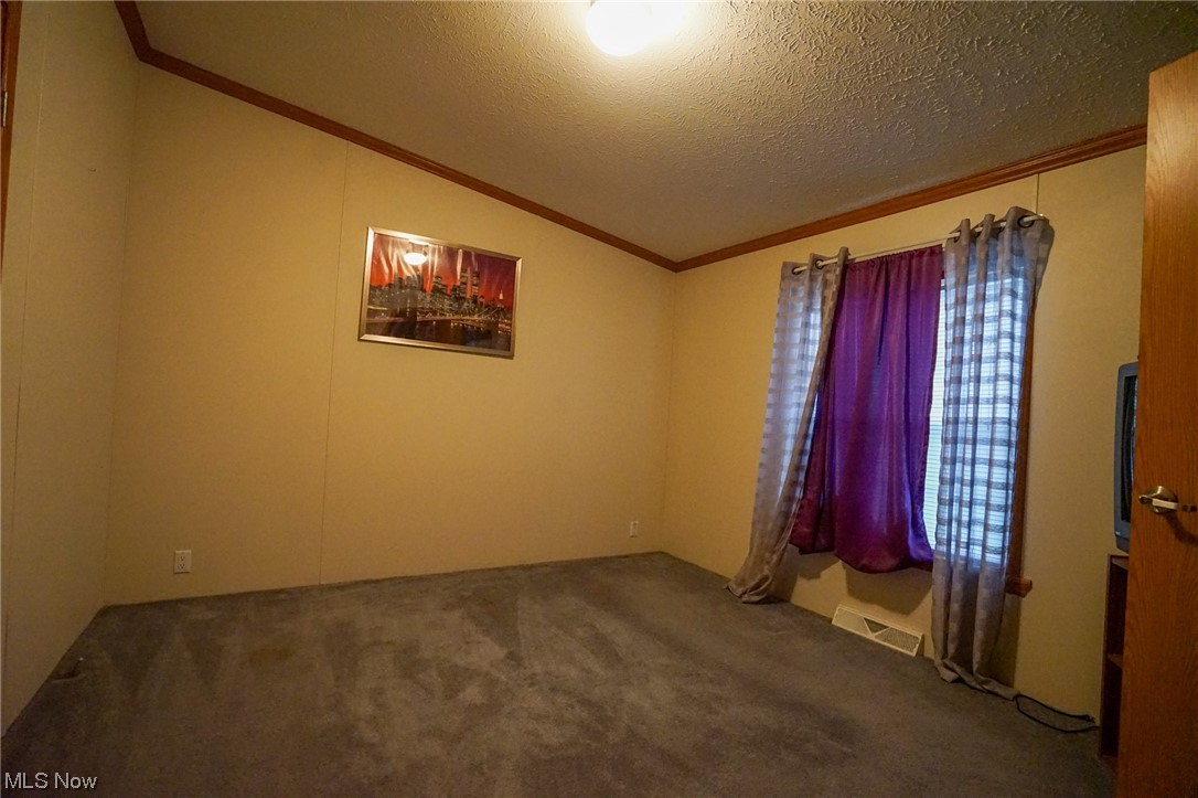 37632 Sheepskin Ridge Road Lower Salem, OH 45745 - Photo 16 of 30 Unfurnished room featuring vaulted ceiling, a textured ceiling, and dark carpet