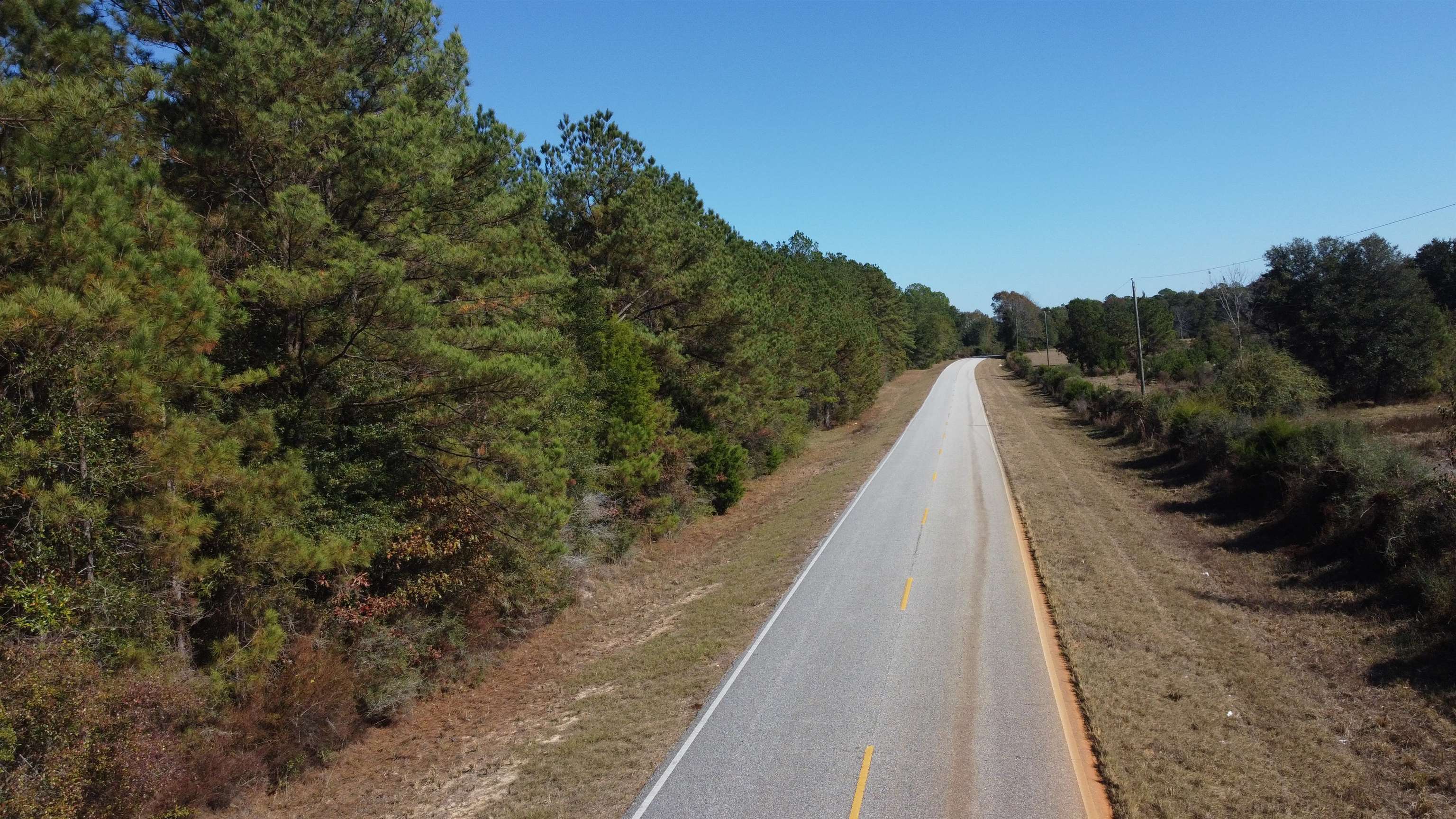1 Open Pond Road Florala, AL 36442 - Photo 6 of 10 Gallery Image 6