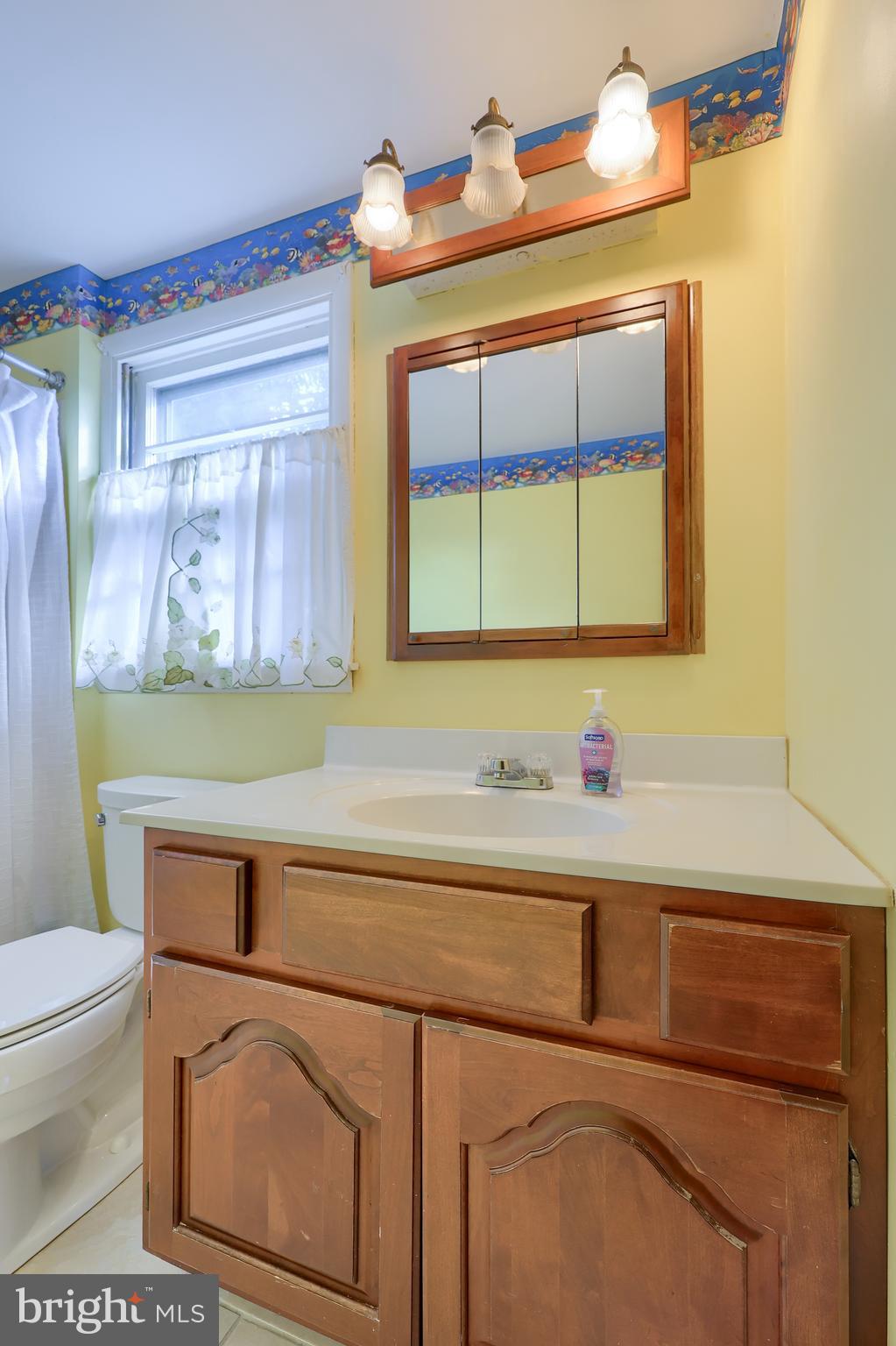 1635 Robert Road Lancaster, PA 17601 - Photo 30 of 46 Main Bathroom