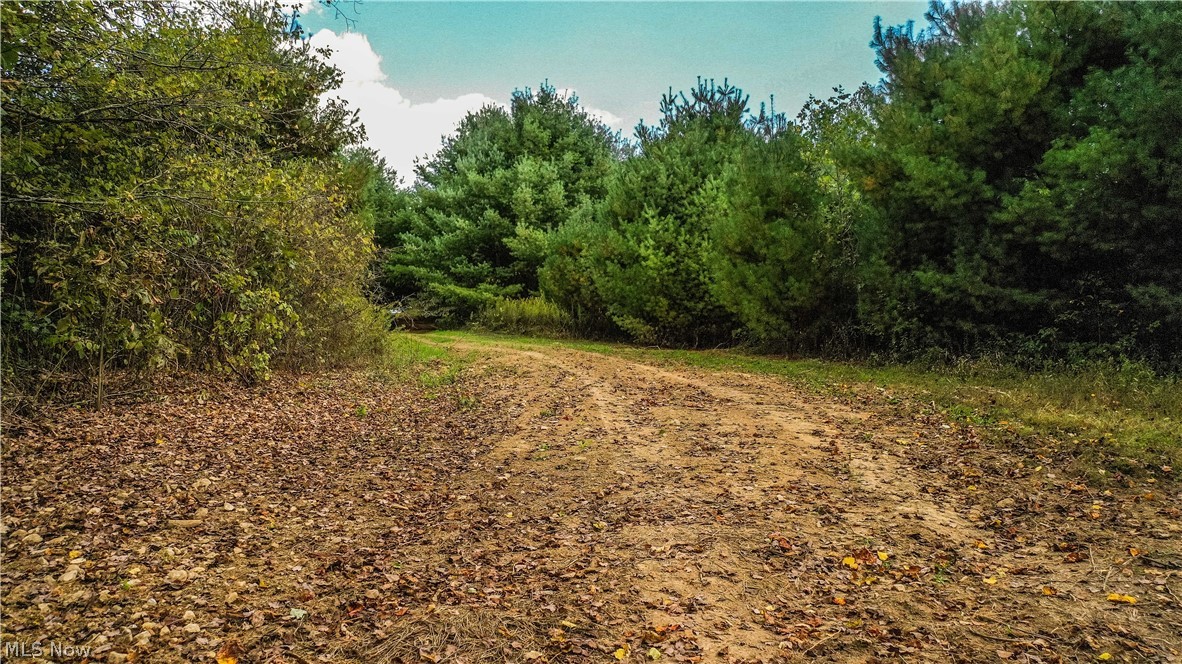 17635 Chapel Road Southwest Newcomerstown, OH 43832 - Photo 16 of 22 Gallery Image 16