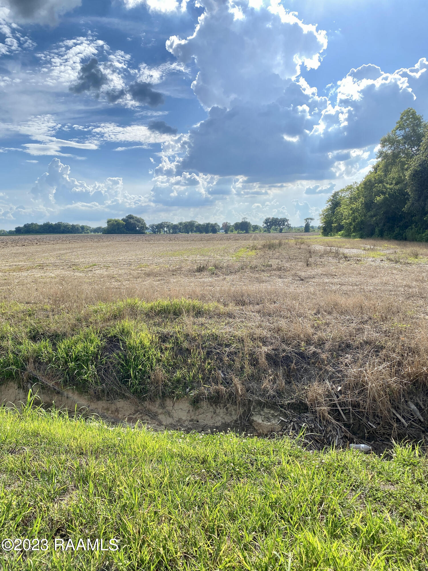 Tbd Bella Road Maurice, LA 70555 - Photo 11 of 11 temp to be removed