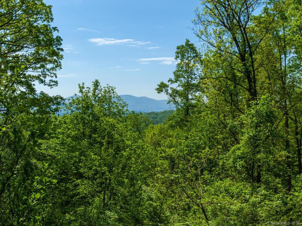 138 Laurel Road Arden, NC 28704 - Photo 15 of 36 Gallery Image 15