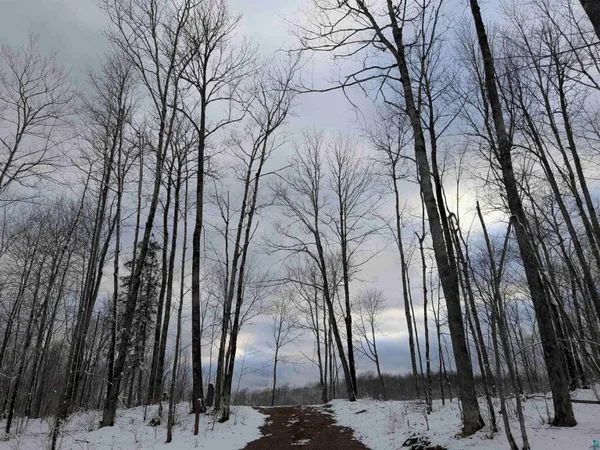 $28,500 | Lot 2 Vahtera Heights Drive, Mellen, WI 54546