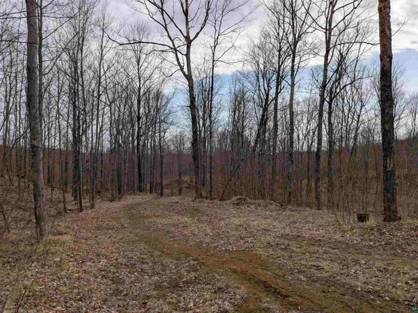 $28,500 | Lot 2 Vahtera Heights Drive, Mellen, WI 54546