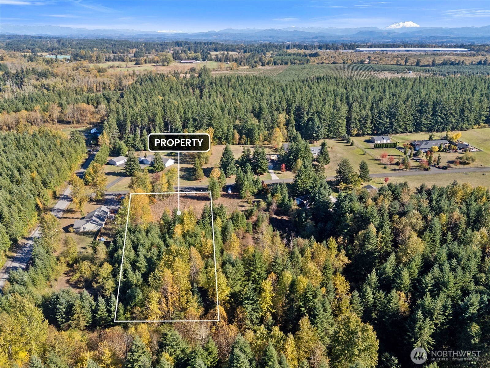 108 Timberline Lane Winlock, WA 98596 - Photo 14 of 20