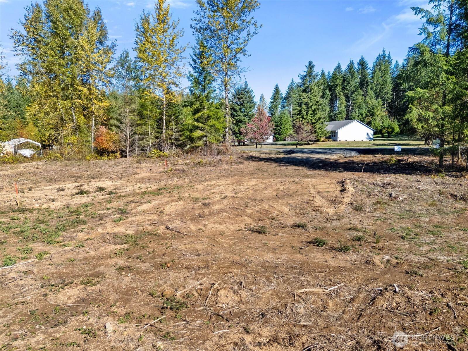 108 Timberline Lane Winlock, WA 98596 - Photo 15 of 20 a view of a yard with plants and trees