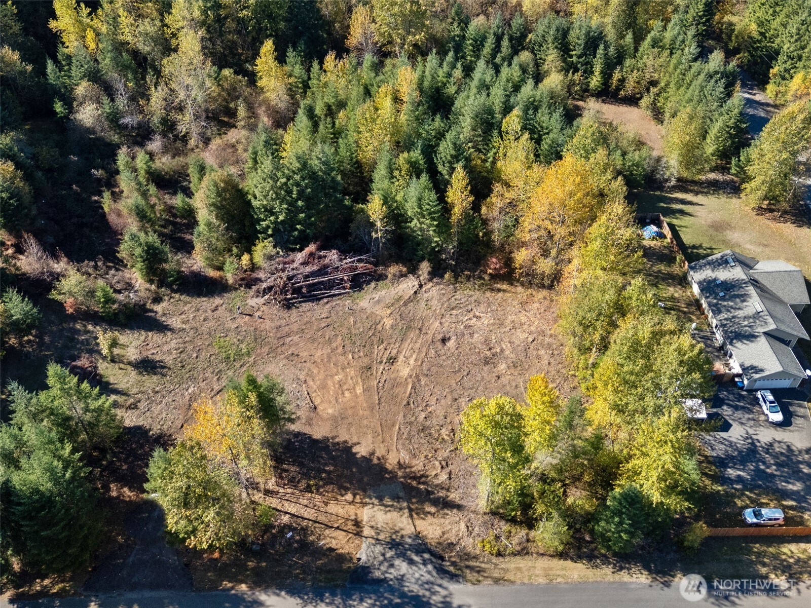108 Timberline Lane Winlock, WA 98596 - Photo 17 of 20 a view of a tree with a yard