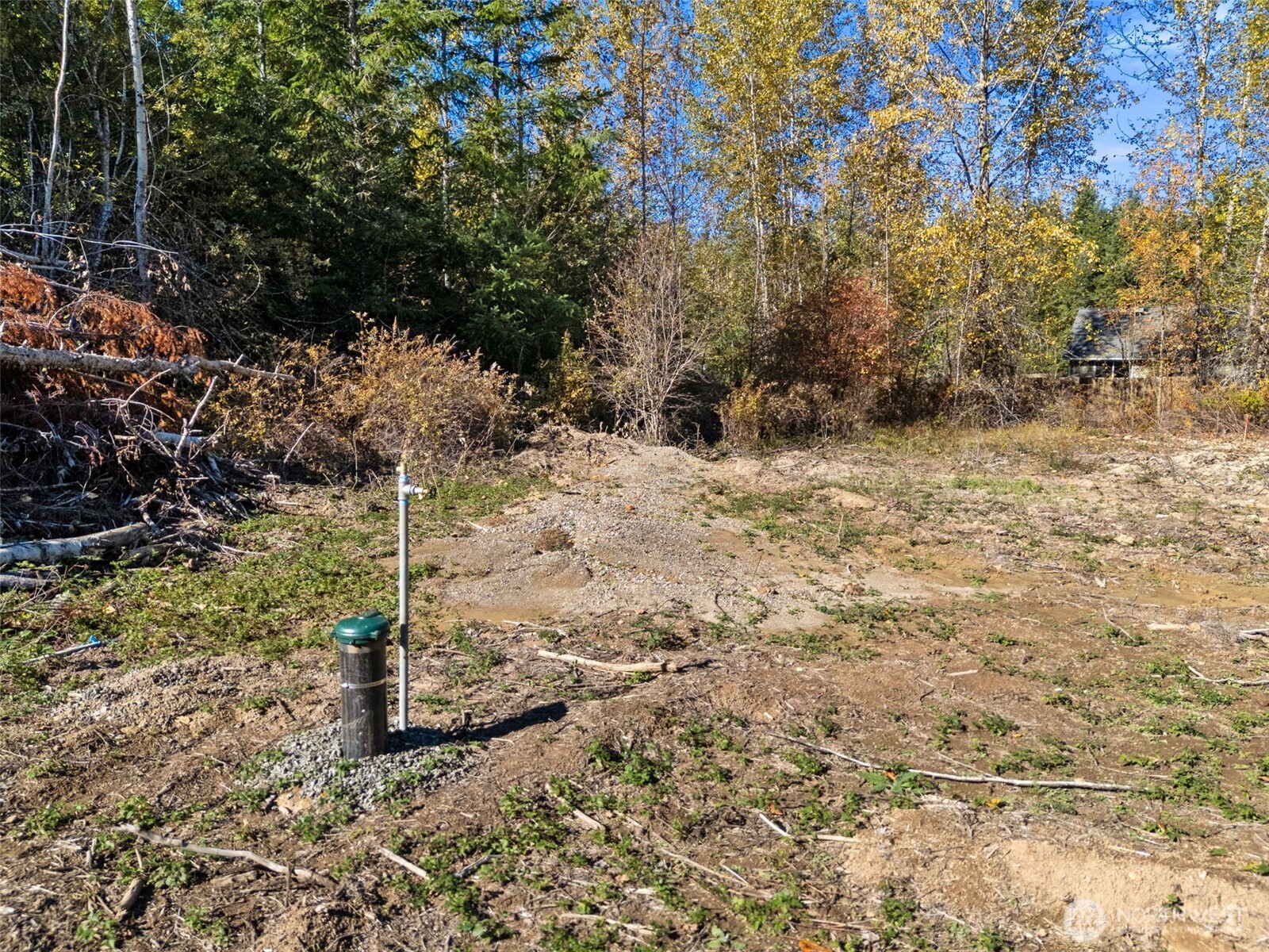 108 Timberline Lane Winlock, WA 98596 - Photo 18 of 20 a view of a backyard of the house
