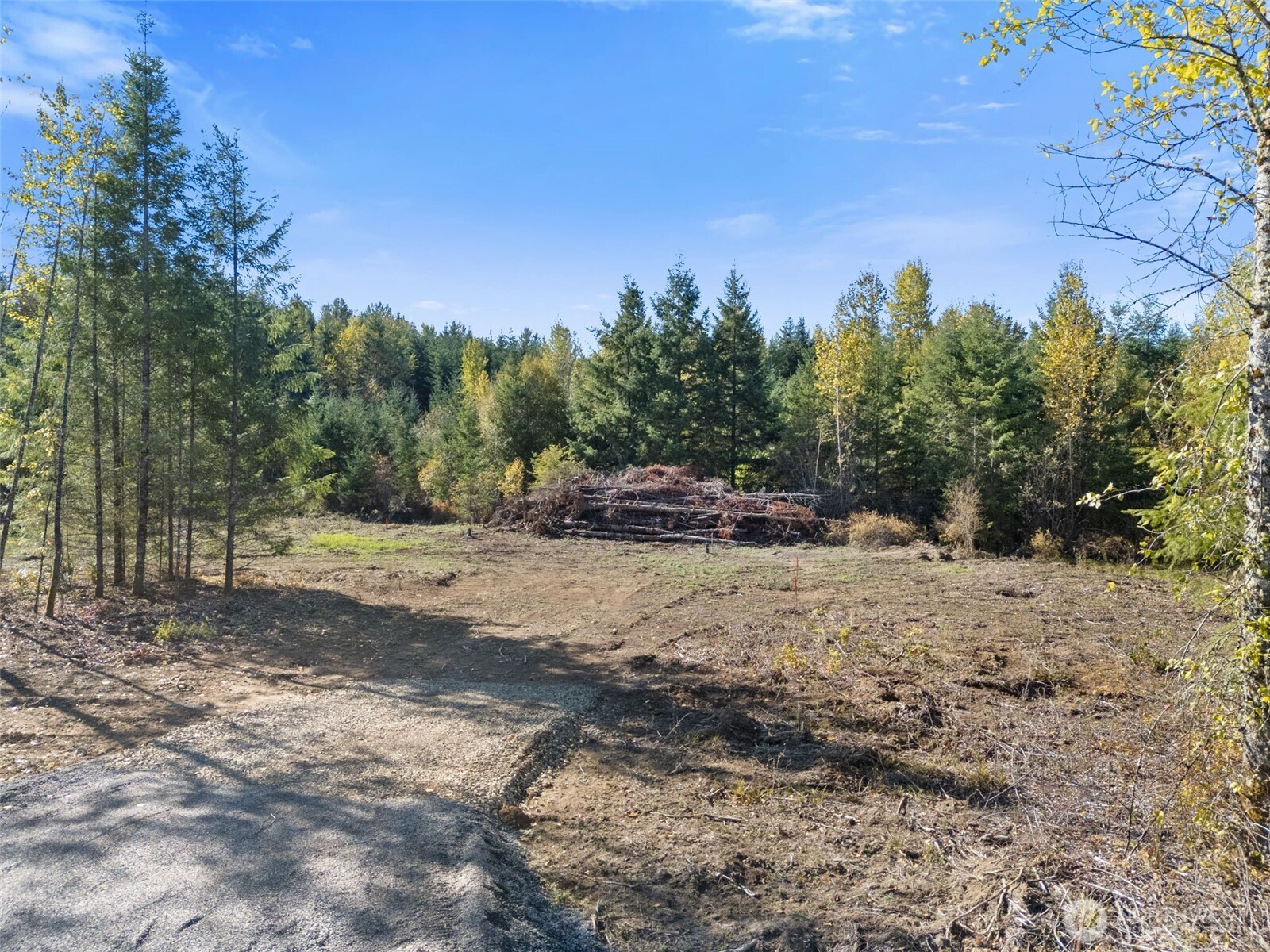 108 Timberline Lane Winlock, WA 98596 - Photo 4 of 20 a view of dirt yard with a tree
