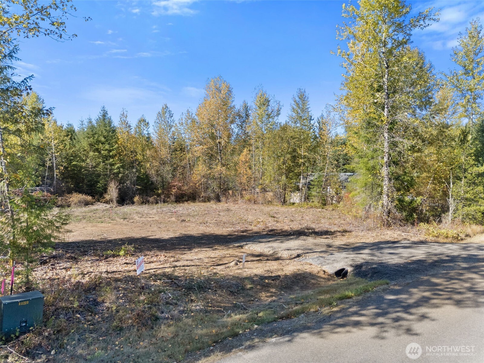 108 Timberline Lane Winlock, WA 98596 - Photo 5 of 20 a view of a yard with a tree