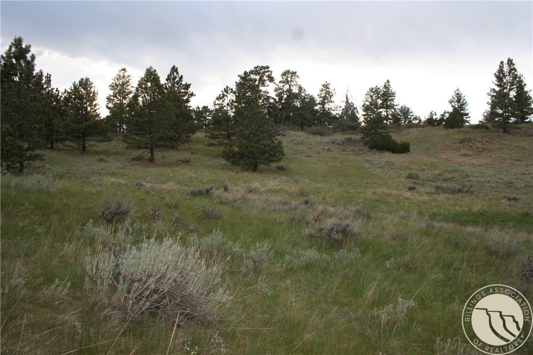 Lot 71 North Harrier Road Reed Point, MT 59069 - Photo 12 of 32 Gallery Image 12