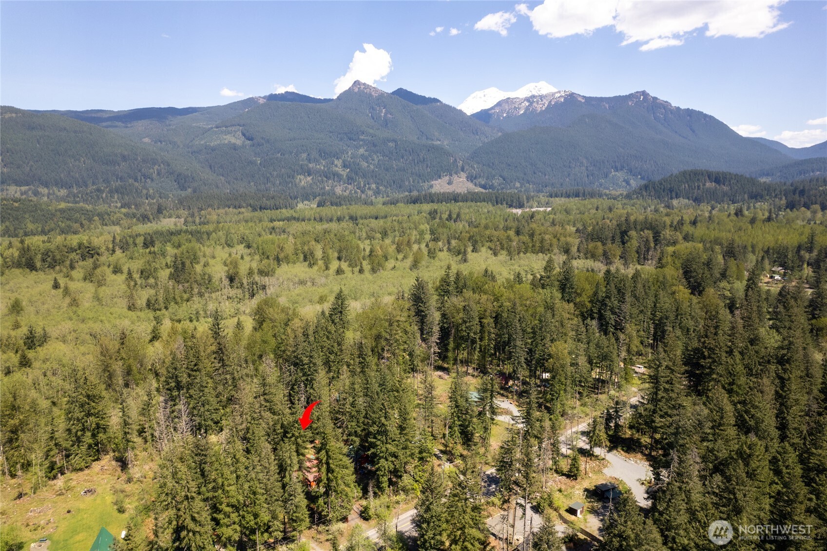 271 Skate Creek Road North Ashford, WA 98304 - Photo 40 of 40 a view of lake and mountain