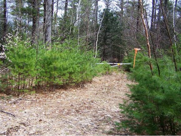218-012 Forest Road Lyndeborough, NH 03082 - Photo 1 of 1