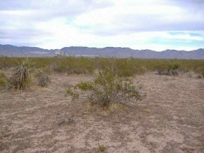 Davis Road Golden Valley, AZ 86413 - Photo 2 of 5 Additional Photo