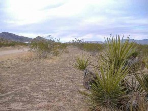Davis Road Golden Valley, AZ 86413 - Photo 3 of 5 Additional Photo