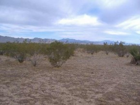 Davis Road Golden Valley, AZ 86413 - Photo 5 of 5 Additional Photo