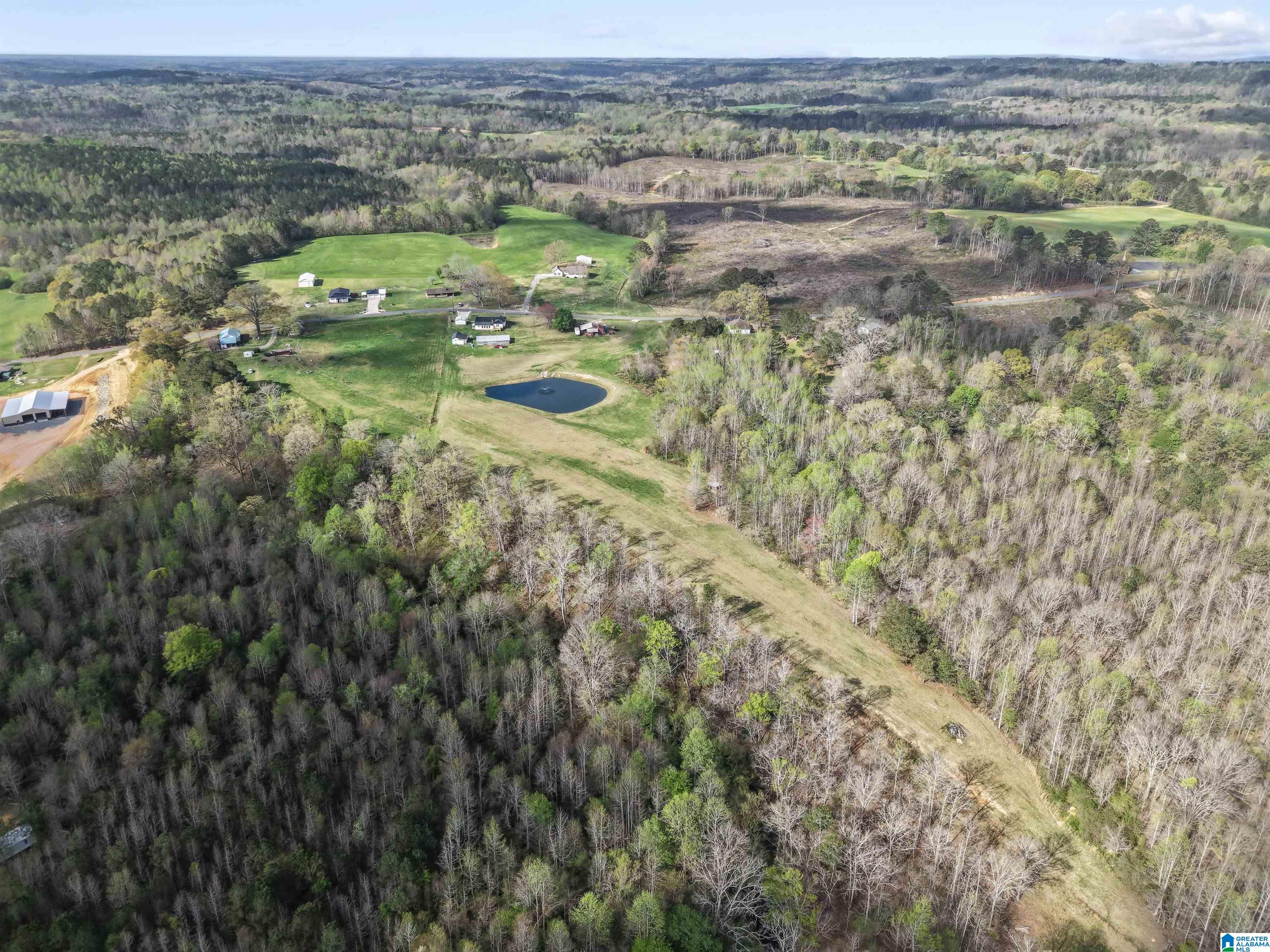 485 Moody Chapel Road Altoona, AL 35952 - Photo 11 of 54