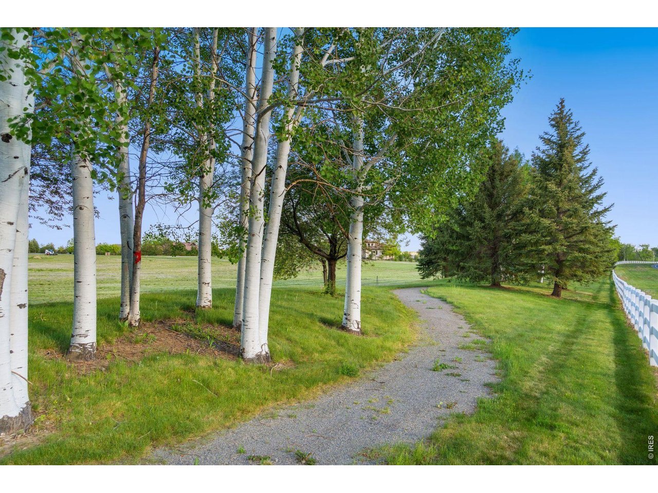 9715 Meadow Ridge Lane Longmont, CO 80504 - Photo 10 of 17 a view of a backyard with trees