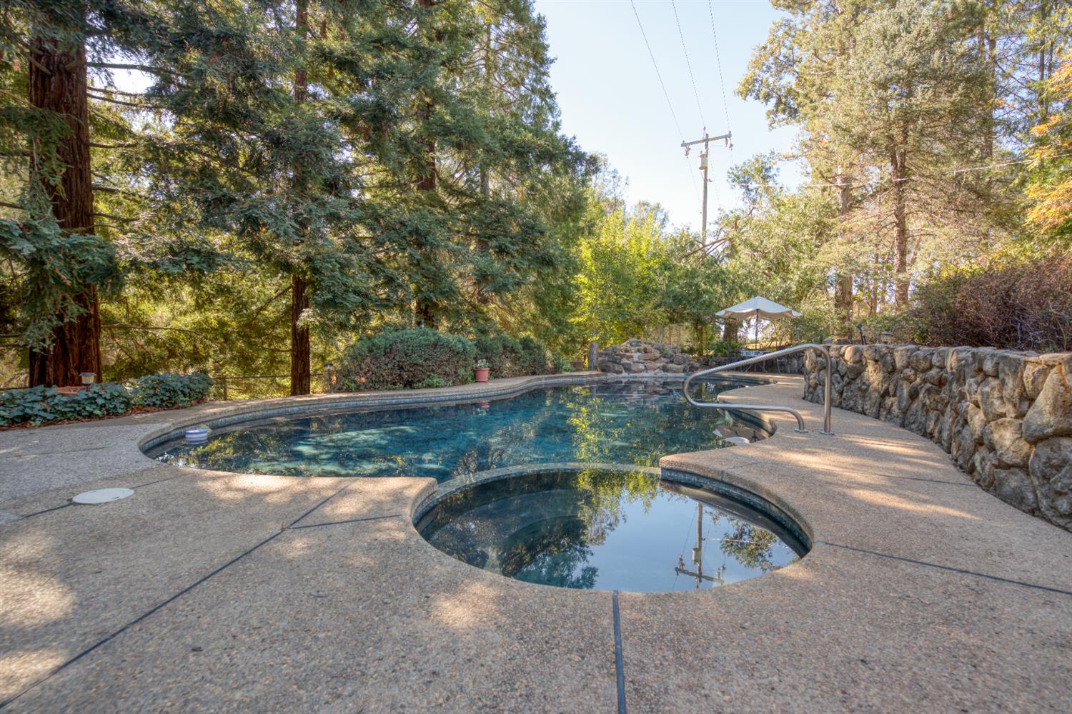 16979 Ridge Road Pine Grove, CA 95665 - Photo 30 of 68 a view of a yard with large trees