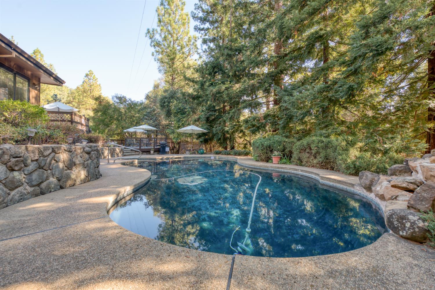 16979 Ridge Road Pine Grove, CA 95665 - Photo 31 of 68 a view of a swimming pool with a yard