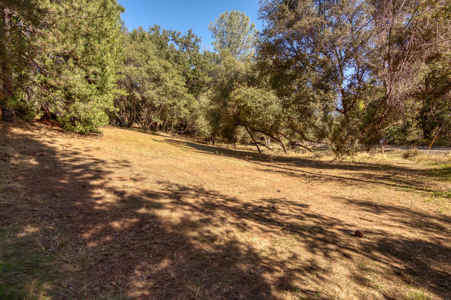 16979 Ridge Road Pine Grove, CA 95665 - Photo 54 of 68 a view of empty space and a yard