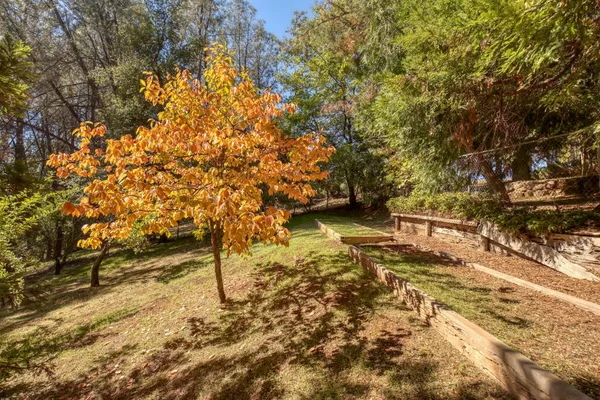 $869,995 | 16979 Ridge Road, Pine Grove, CA 95665