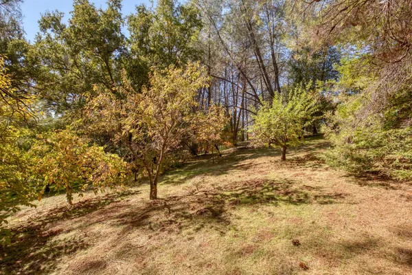 $869,995 | 16979 Ridge Road, Pine Grove, CA 95665