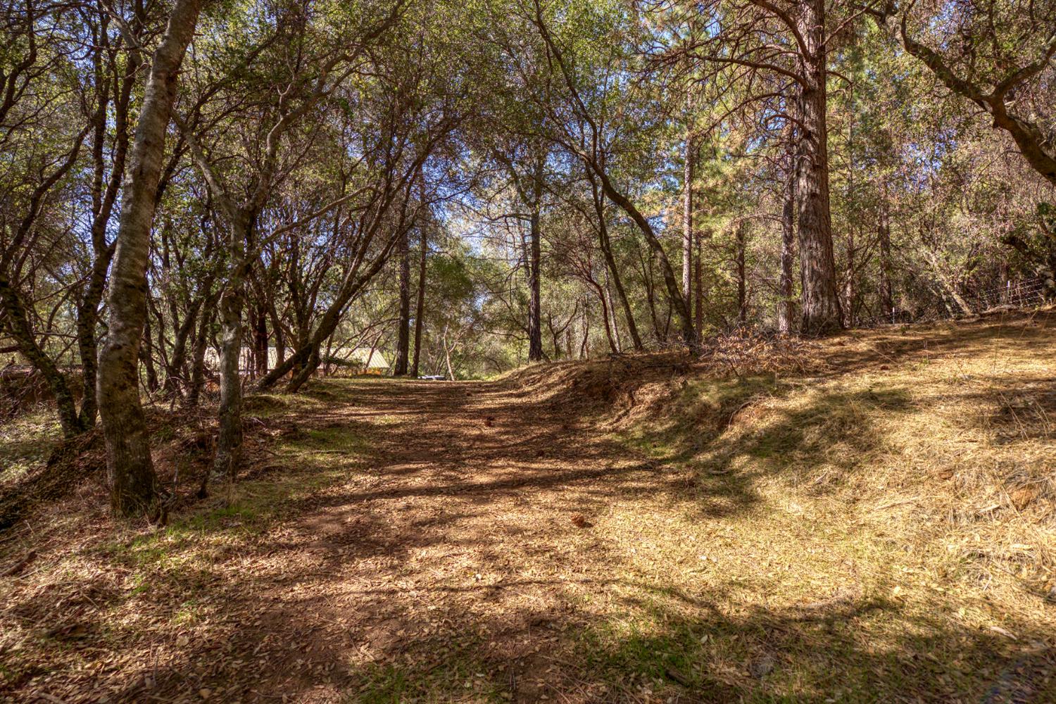 16979 Ridge Road Pine Grove, CA 95665 - Photo 62 of 68 a view of outdoor space and yard