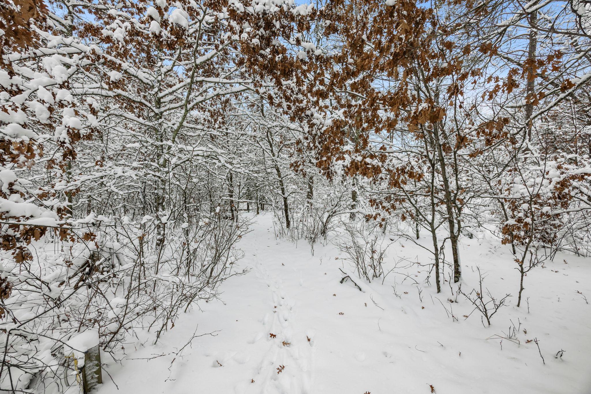 14552 Fish Lake Road Grantsburg, WI 54840 - Photo 38 of 47