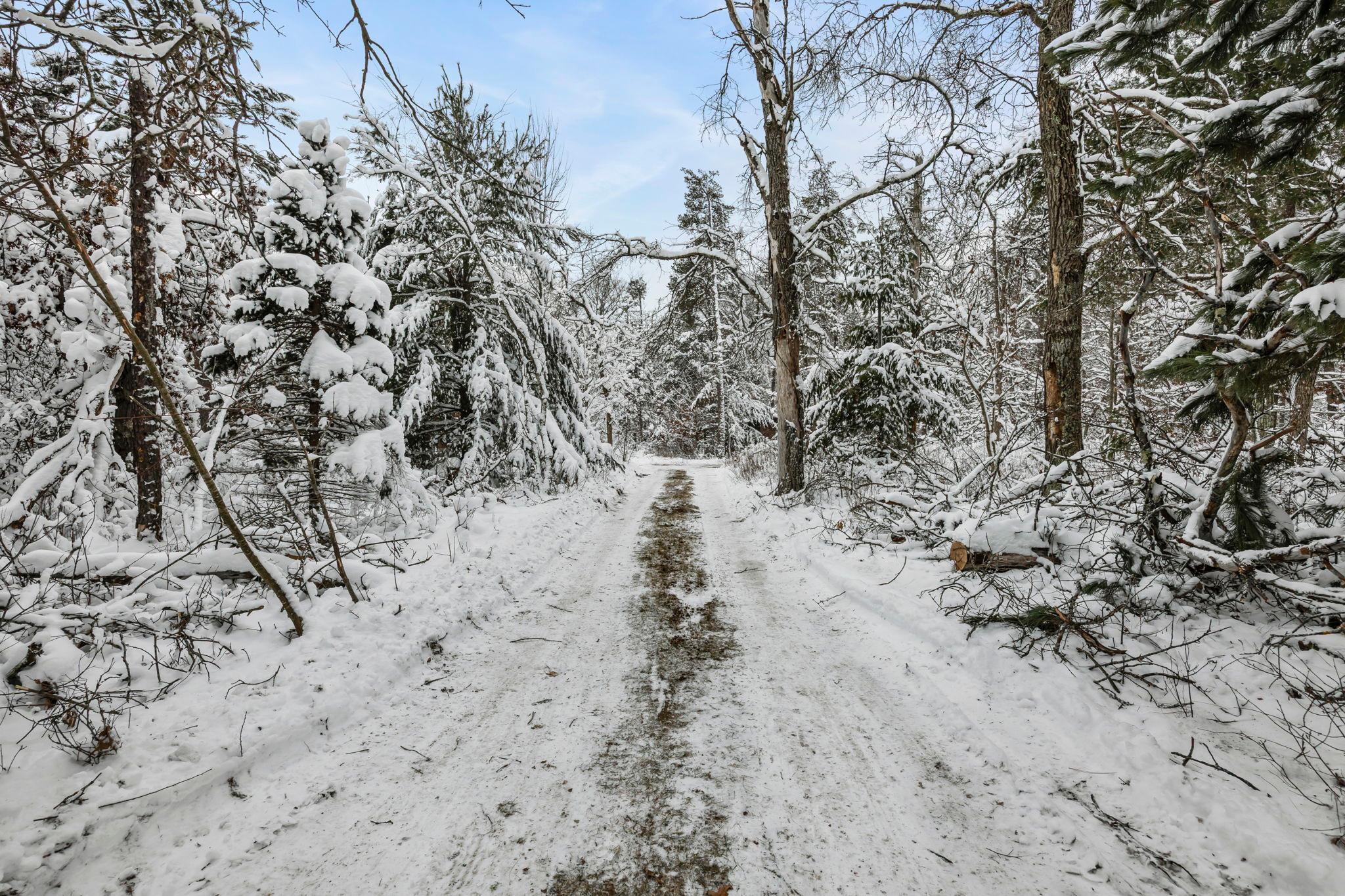 14552 Fish Lake Road Grantsburg, WI 54840 - Photo 8 of 47