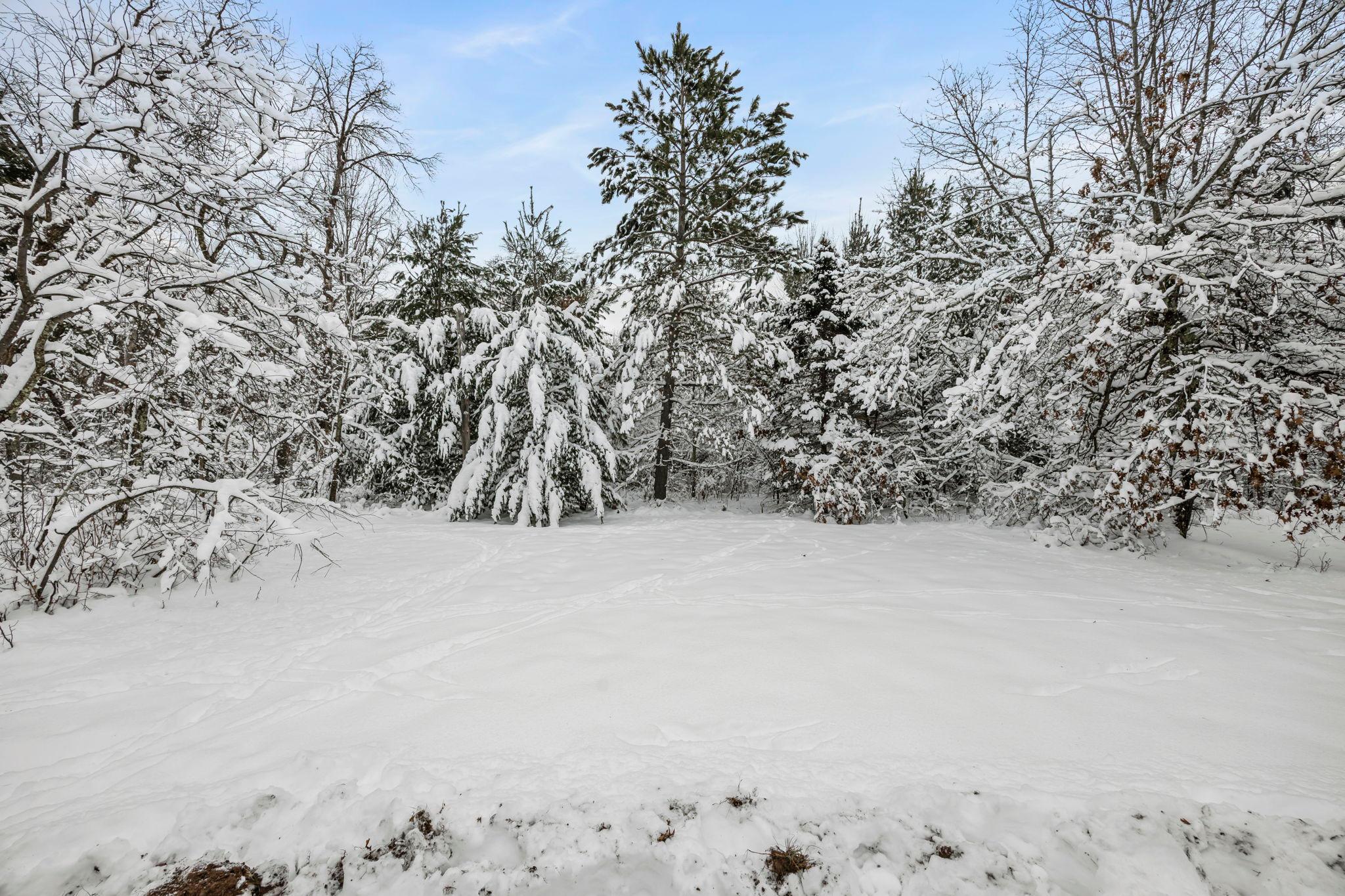 14552 Fish Lake Road Grantsburg, WI 54840 - Photo 10 of 47