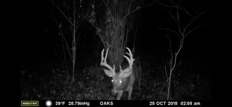 102 /- Sturgis, MI 49091 - Photo 11 of 30 38295