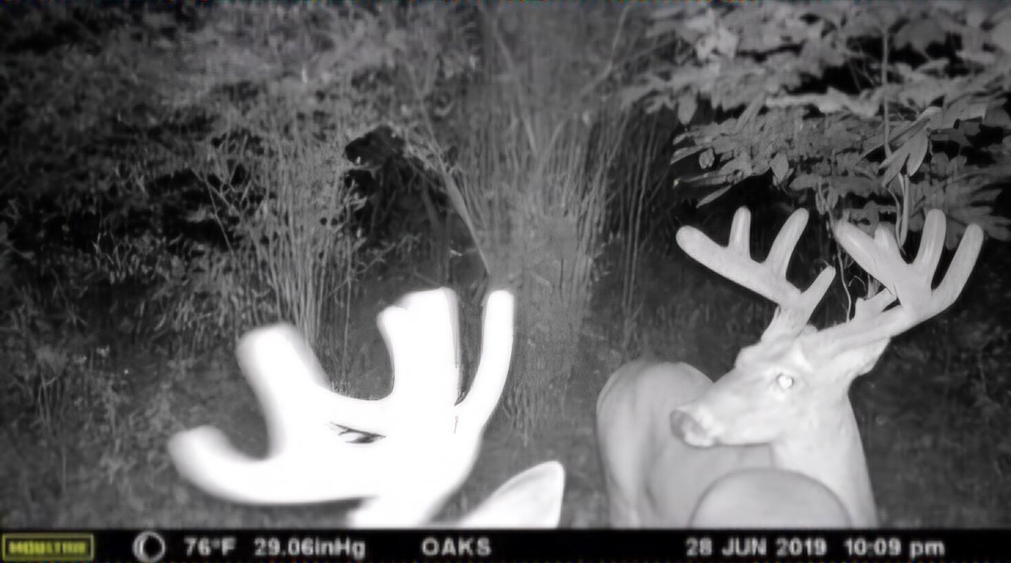 102 /- Sturgis, MI 49091 - Photo 12 of 30 38283