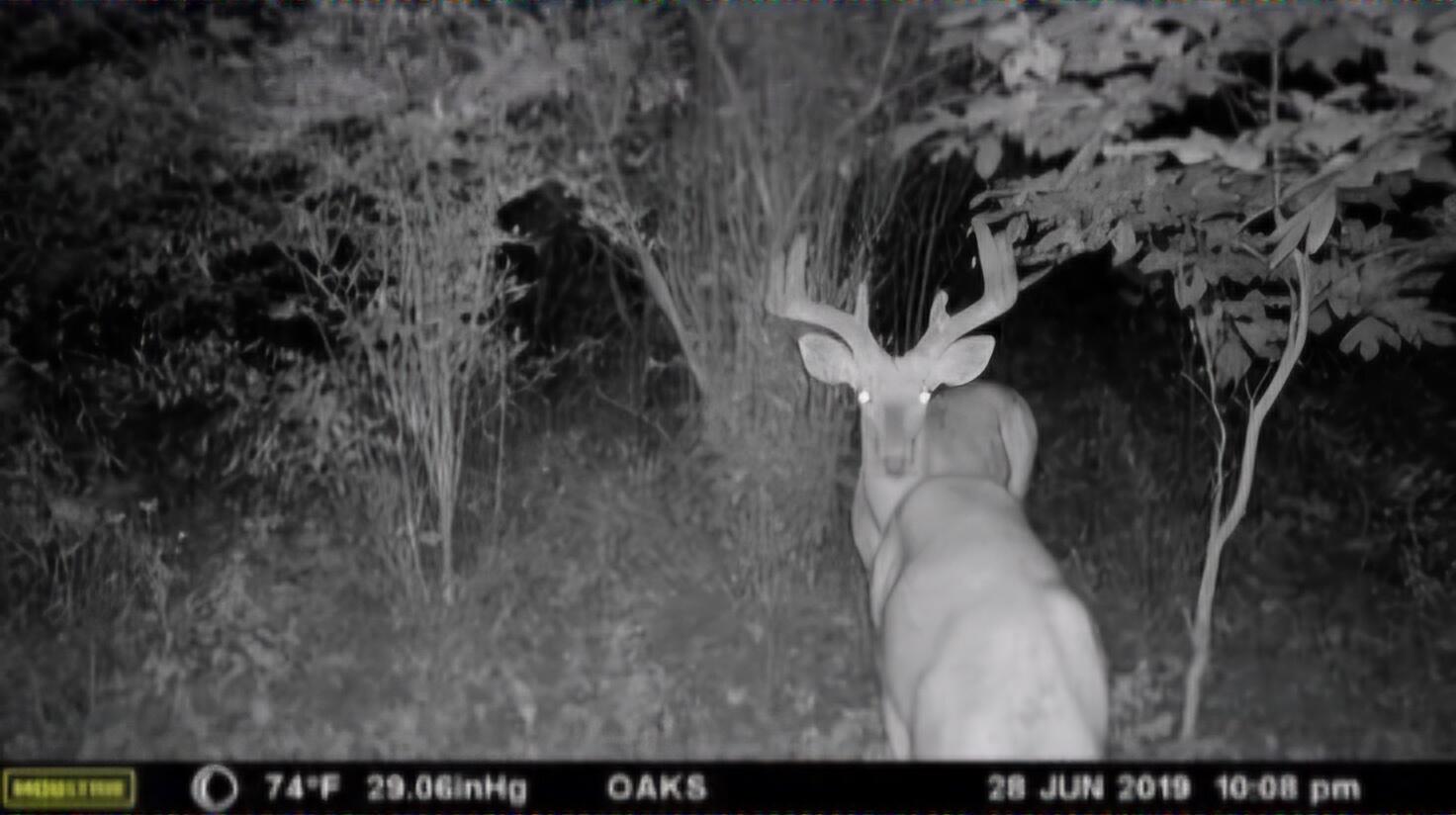 102 /- Sturgis, MI 49091 - Photo 13 of 30 38284