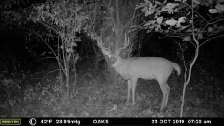 102 /- Sturgis, MI 49091 - Photo 14 of 30 38287