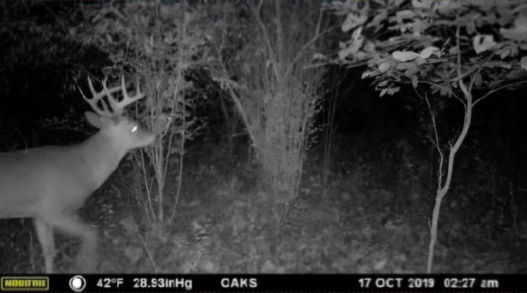 102 /- Sturgis, MI 49091 - Photo 15 of 30 38288