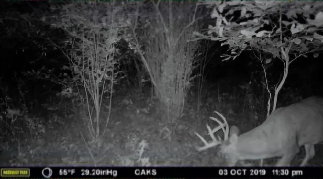 $249,900 | 102 /-, Sturgis, MI 49091