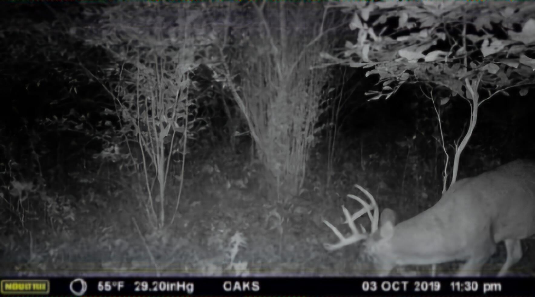 102 /- Sturgis, MI 49091 - Photo 16 of 30 38289