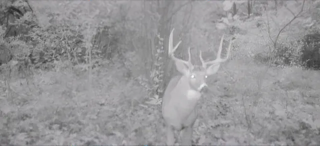 $249,900 | 102 /-, Sturgis, MI 49091