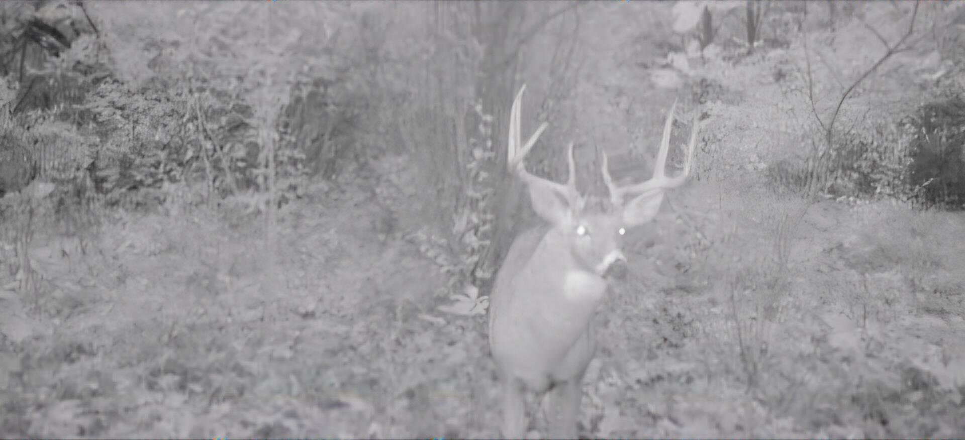 102 /- Sturgis, MI 49091 - Photo 17 of 30 38290